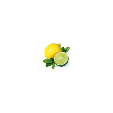 Sentiotec esence do páry 5L citrón
